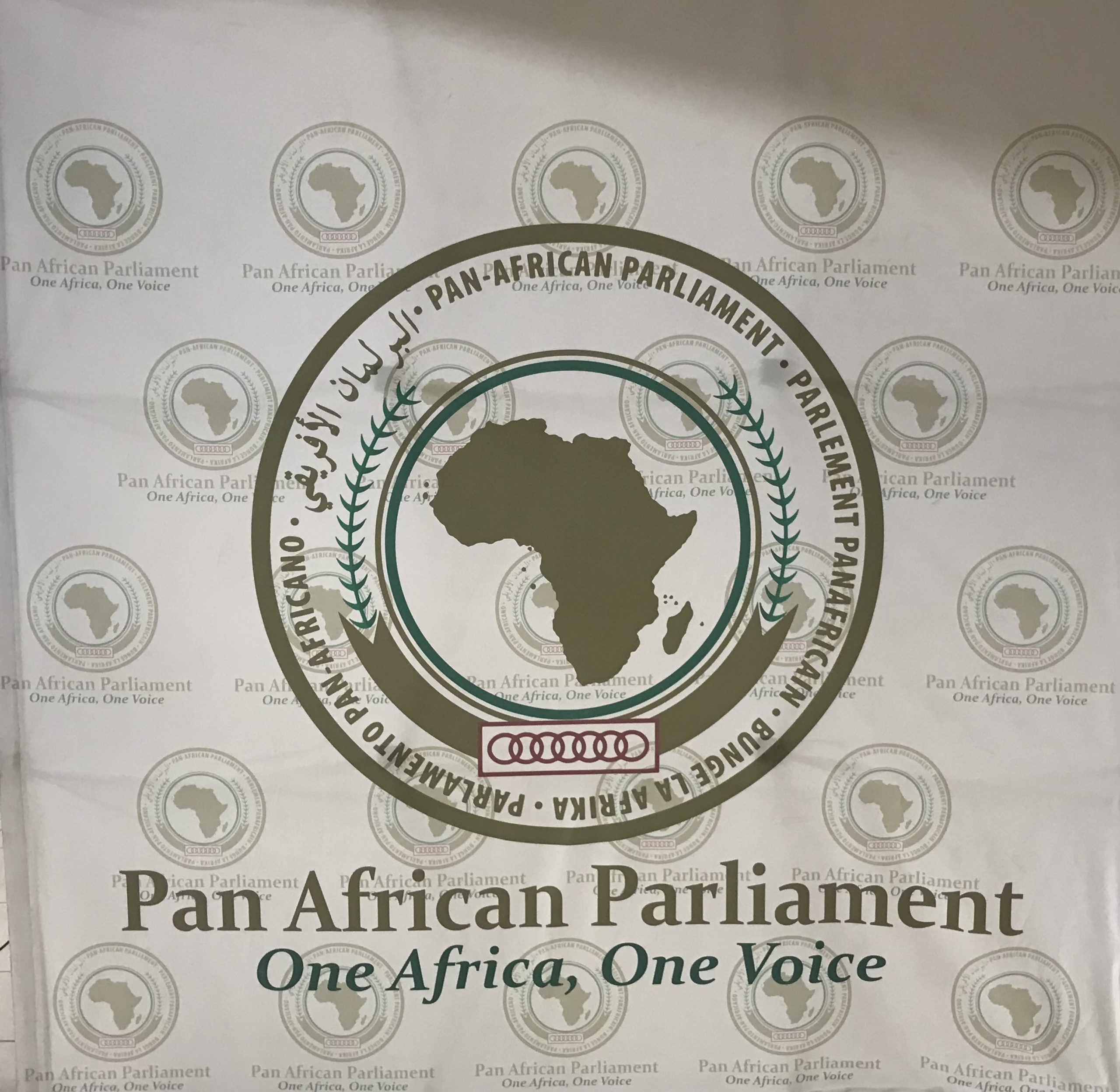 Beneficiate resources to avoid labour migration, says the Pan African Parliament
